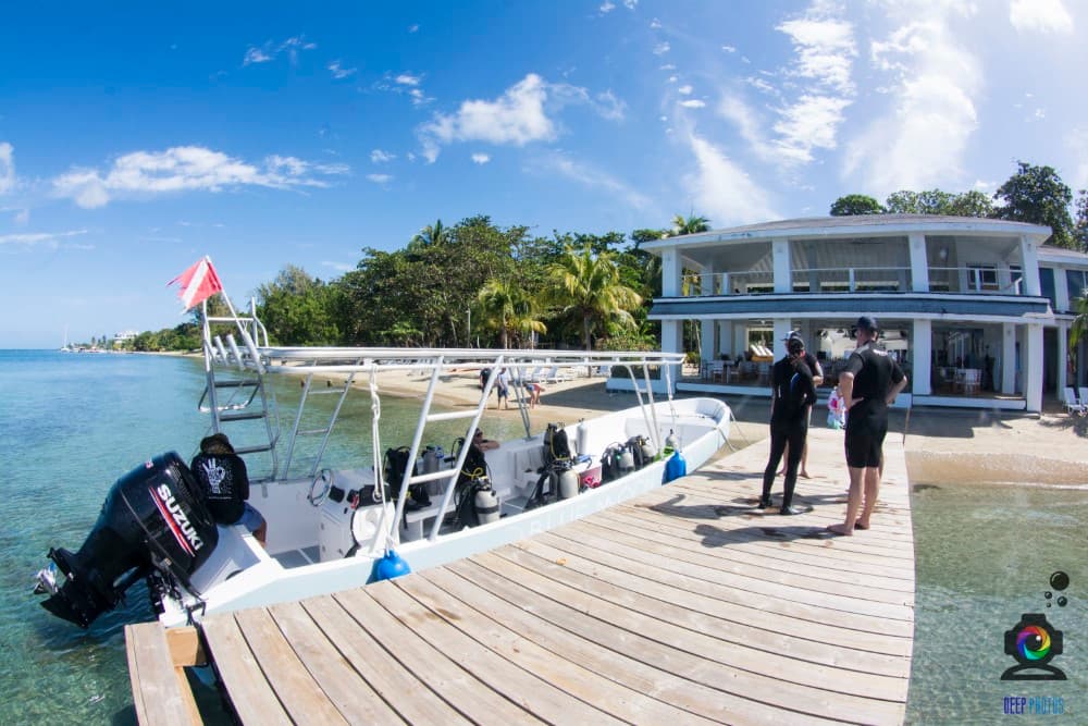 Blue Moon Scuba Dive Center - 3