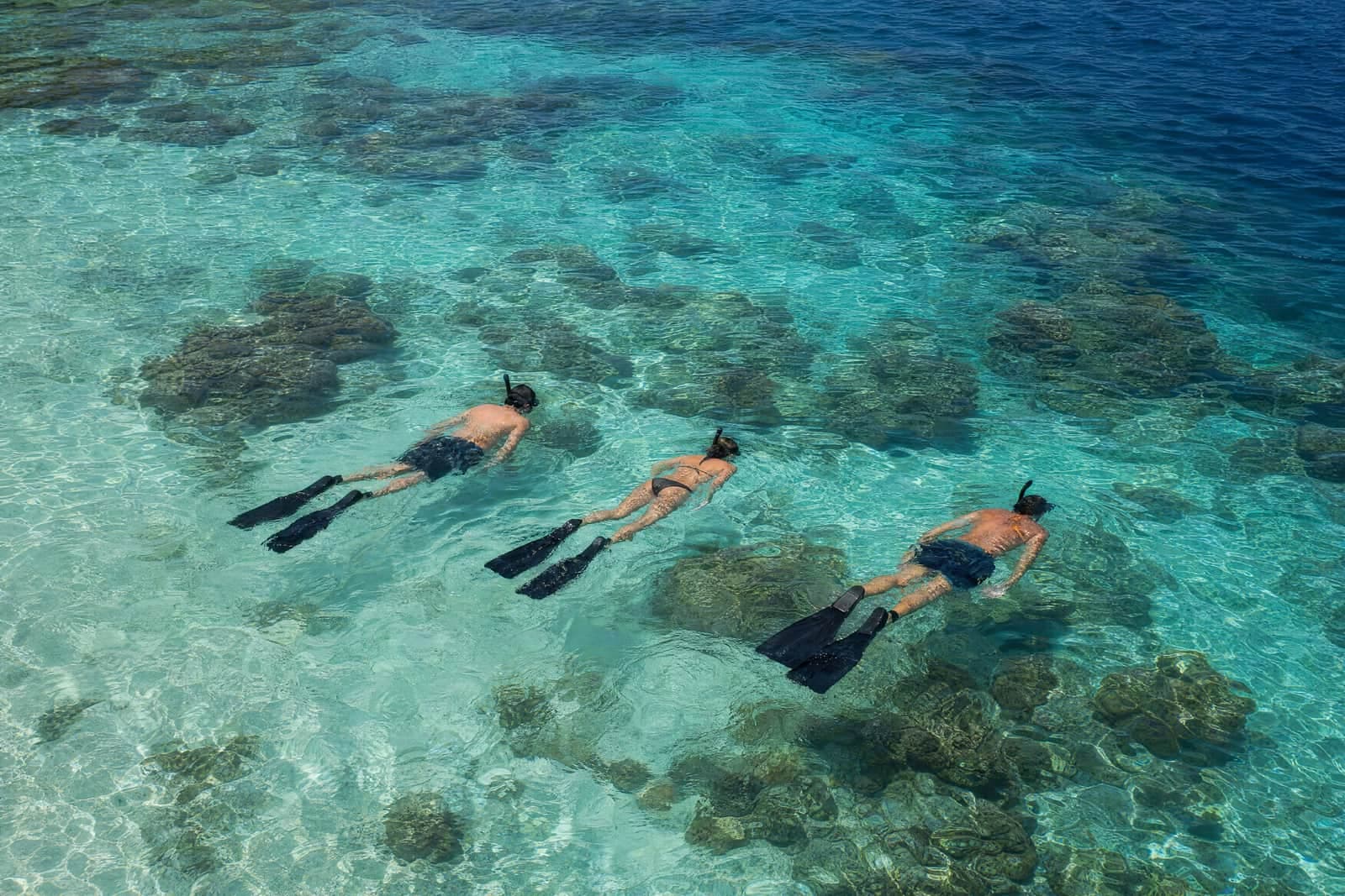 Snorkeling
