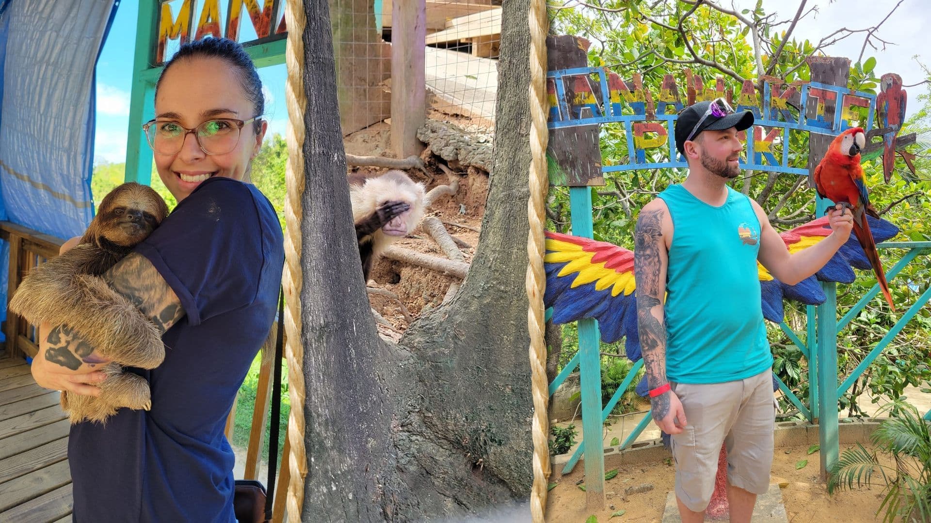 Sloth & Wildlife Tour